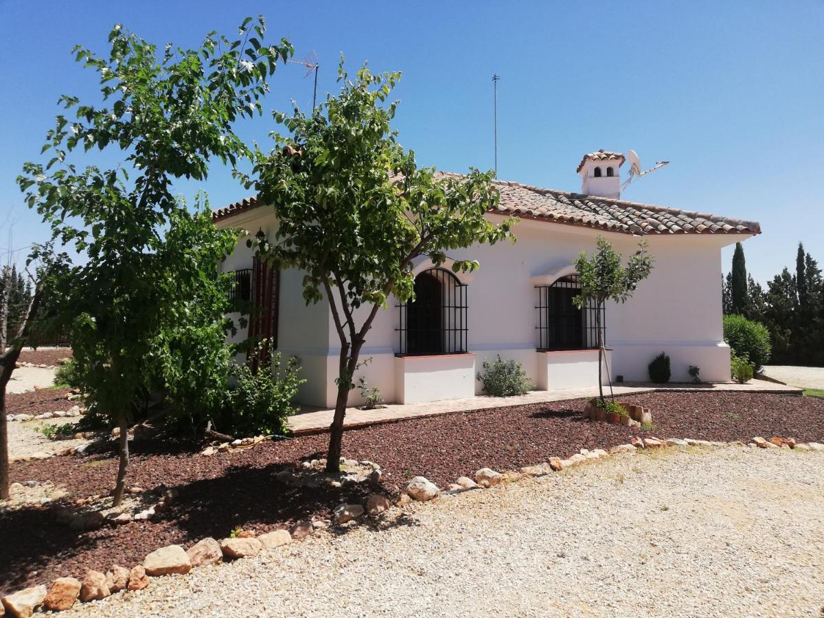 Chalet Alavesa - Lagunas De Ruidera Argamasilla de Alba Dış mekan fotoğraf